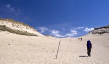 Long road to the dunes / ***