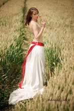 Feel the breath of summer ... / ***