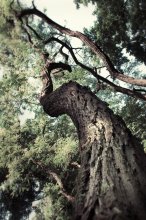 ... High in the sky. / ***