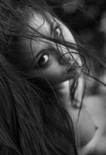 In den Wind / ***
