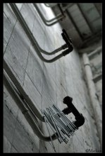 forgotten / lost & forgotten