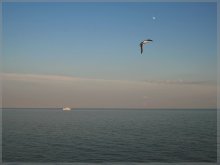 Ontario Lake / Toronto Islands, June 2008