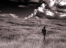 ... away... / ***