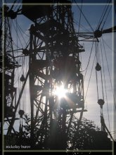 Strayed sun / ***