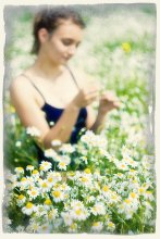 Daisies / ***