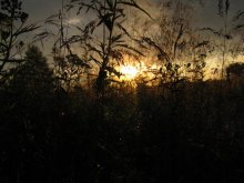 Dawn / ***