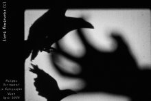 "Caught". / http://www.flickr.com/photos/alena_romanenko/2417142324/