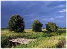 Waiting for the storm / -------