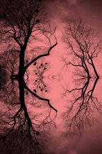 ruki / all the trees are turning brown
this is not autumn
this is fall