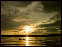 Golden Evening / ???