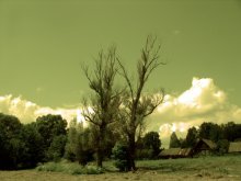 Vakolitsa / *****