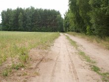 Road / ***
