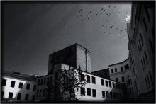 Sunshine in da black city... / ***