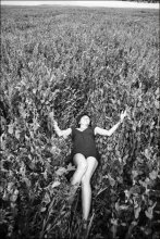 about dreams / ***