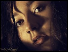 in the shadows / ***