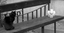 Black and white photography / ***