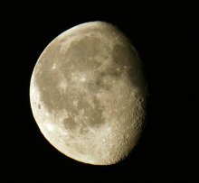 moon / ***