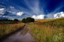 Country road / ***
