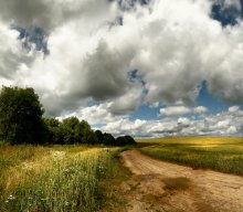After the rain / ---