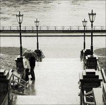 Rain / ***