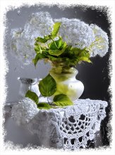 Hydrangeas / ***