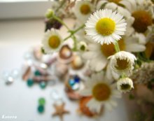 sweet summer / .....