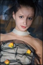 Model / ***