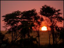 rolled the sun ... / ------------