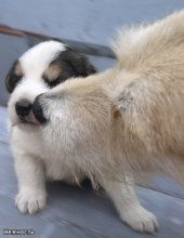 Mom's love / ***