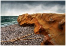 Stone in the sea ... / ***