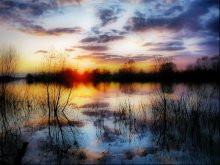 sunset / ***