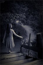 How to get into a fairy tale? / ***
