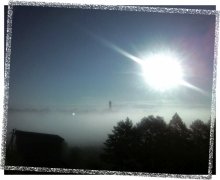 Morning fog / ***