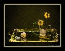 Stare putes, adeo procedunt tempora tarde. "Time is running so slow that it seems it stopped / natiur