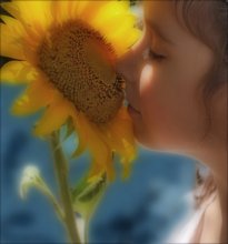 The aroma of the Sun / ***