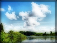 pond / ***