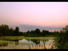 Lake reflections / ***