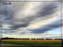 Feld / ***