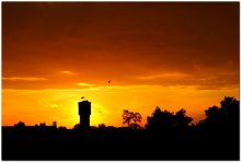 over Brest blaze Zornitsa / ***