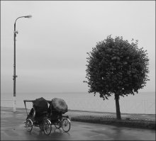 Fahrradrikscha / ***