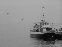 Melancholie / ***