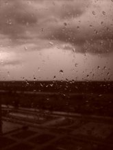 Summer rain / ***