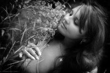 The smell of summer! / ...
