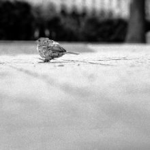lonely / ...