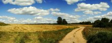Summer / ***