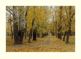 Im alten Park / ***