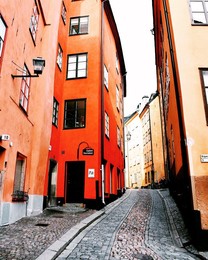  / ***