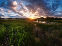 Summer Sunset / ***