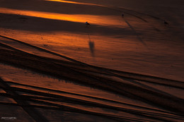 triptych / ***
