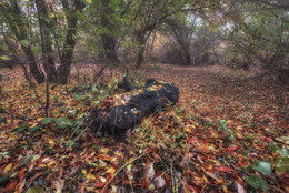 autumn trails / ***